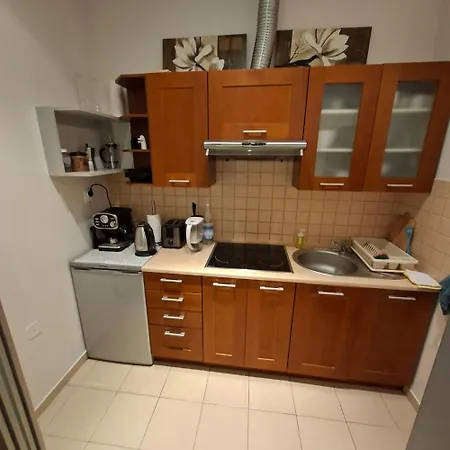 Διαμέρισμα Wielopole 17 *